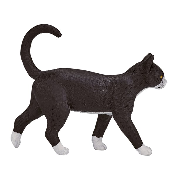 Mojo Fun Cat