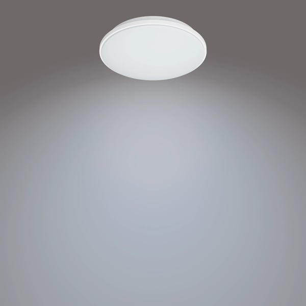 Philips Toiminnollinen Wincel kattovalaisin 24W
