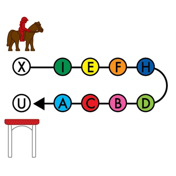 SmartGames Horse Academy