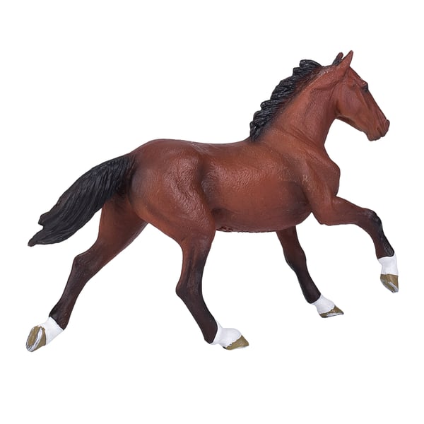 Mojo Fun Thoroughbred (Portugal)