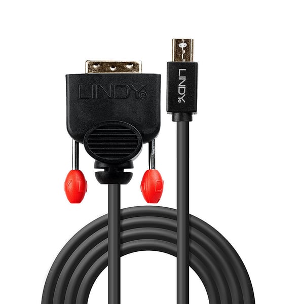 Lindy 41952 videokabel adapter 2 m Mini DisplayPort DVI-D Sort