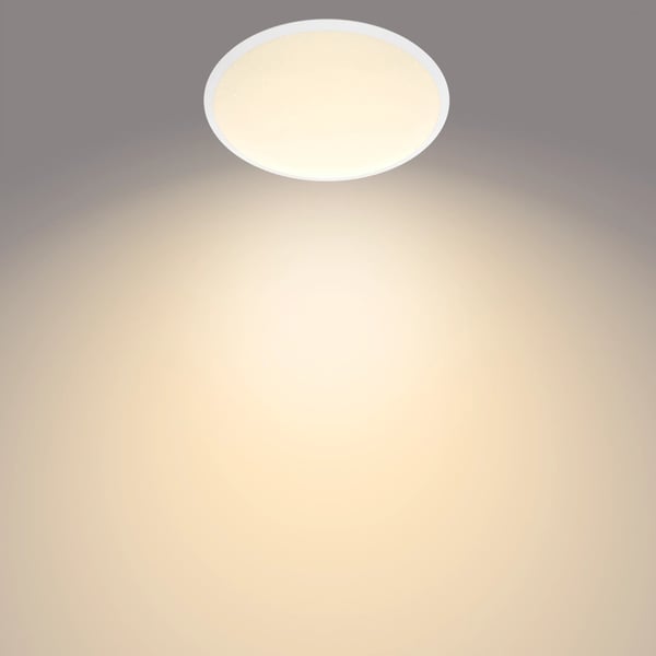 Philips Funktionel Canaval loftslampe, 12 W