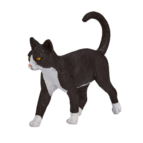 Mojo Fun Cat