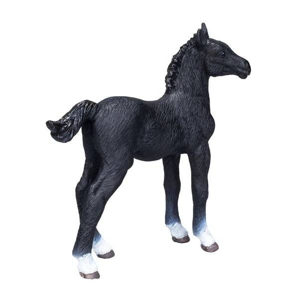 Mojo Fun Hanoverian Foal Black