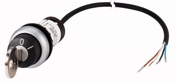 Eaton C22-WRS-MS1-K10-P62 Nøgle