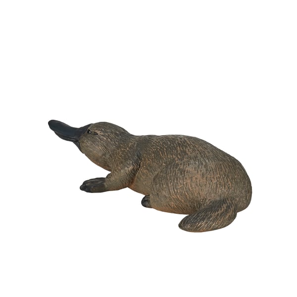Mojo Fun Duck Billed Platypus