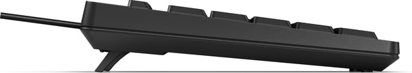 HP 125 Wired Keyboard (Bulk) tastatur Kontor USB Sort