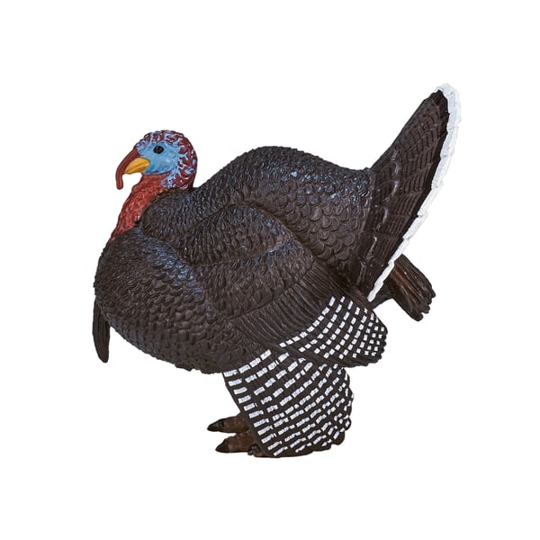 Mojo Fun Male Turkey