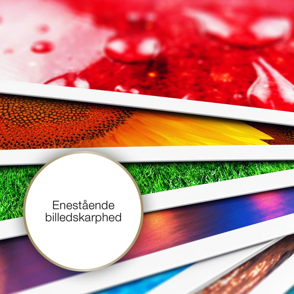 Epson Premium blankt fotopapir, (100 x 150 mm), 255 g/m2, 80 ark