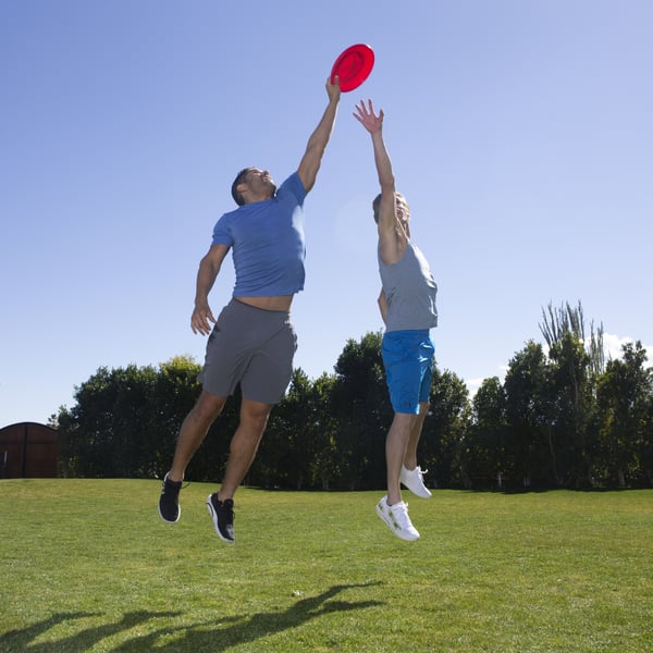 Aerobie ARB FDK Medalist Red Blue GML Frisbee