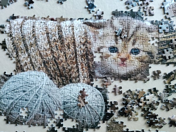 Tactic Cute Kittens 1000 pcs Puslespil 1000 stk Dyr