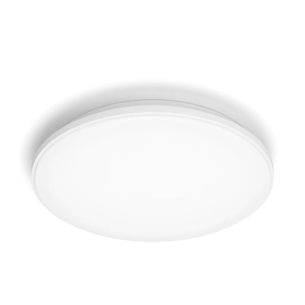 Philips Funktionel Wincel loftslampe, 40 W