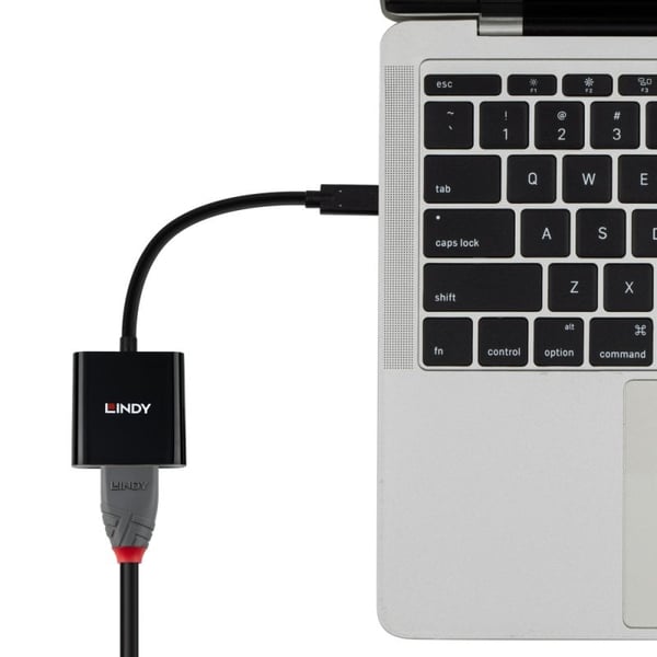 Lindy 43438 videokabeladapter 0,15 m USB Type-C HDMI Svart