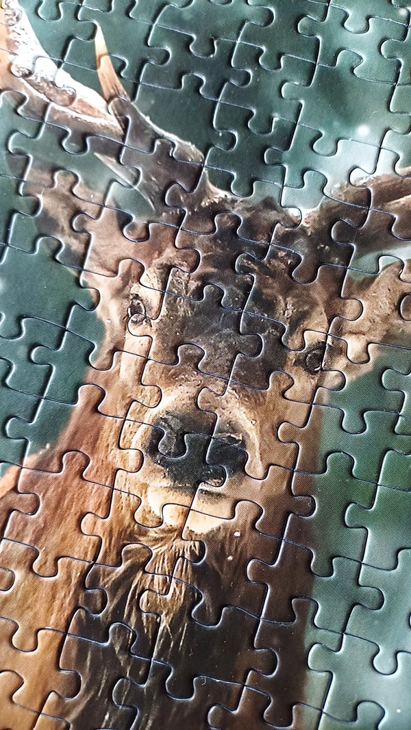 Tactic Puzzle Lovers Noble Deer 500 pcs puzzle