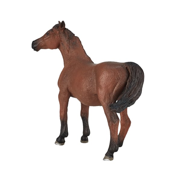 Mojo Fun Arabian Mare in Foal