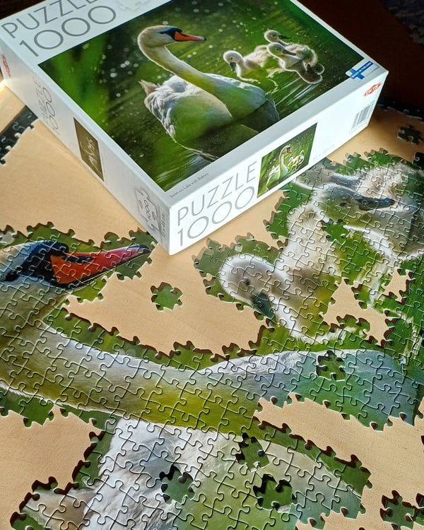 Tactic Puzzle Lovers Swan on Lake with Babies 1000 palan palapeli