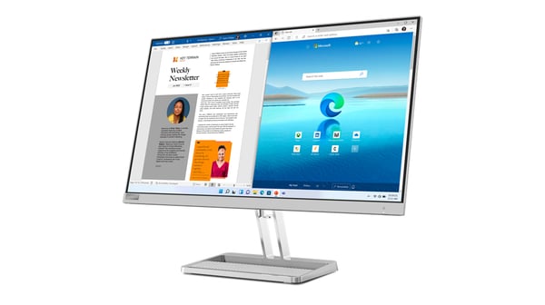 Lenovo L27i-40 computerskærm 68,6 cm (27") 1920 x 1080 pixel Fuld HD LED Grå