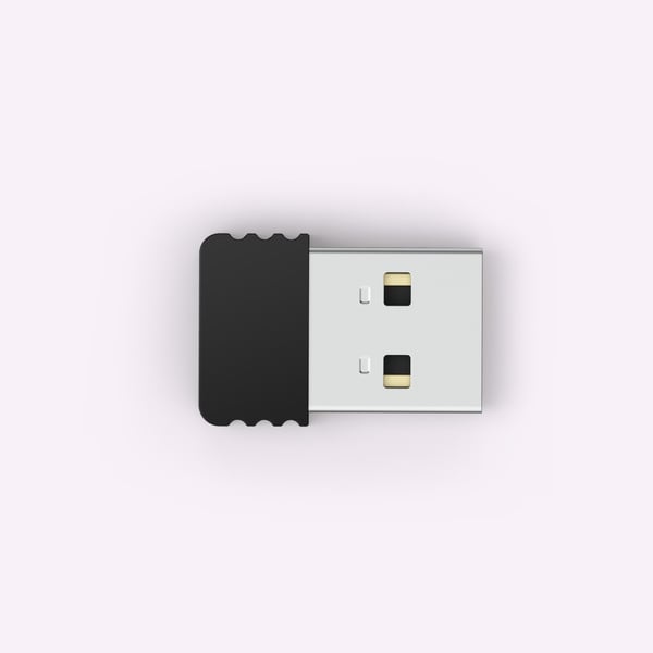 Hama 00139916 trådløs præsentationsenhed RF Sort
