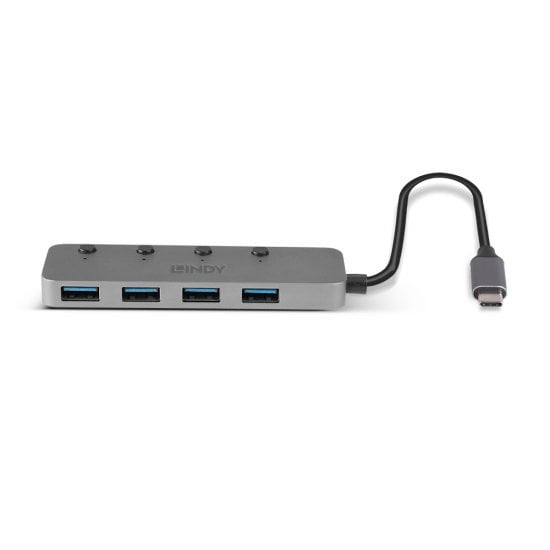 Lindy 43383 gränssnittshubbar USB 3.2 Gen 1 (3.1 Gen 1) Type-C 5000 Mbit/s Grå
