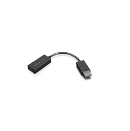Lenovo 4X90R61023 videokabel adapter 0,225 m DisplayPort HDMI Type A (Standard) Sort