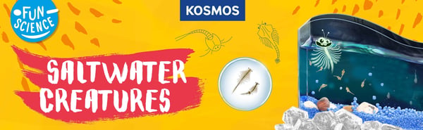 Kosmos 617158 lasten tiedepakkaus & lelu