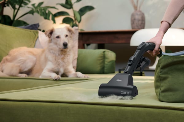 Hoover HP4 Power Master HP410P 011 2,5 L Beholder vakuum Dry 850 W Poseløs