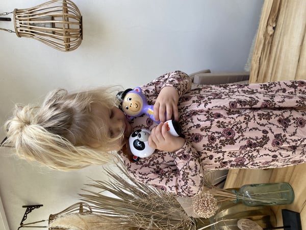 Fisher-Price Maracas