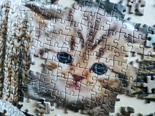 Tactic Cute Kittens 1000 pcs Puslespil 1000 stk Dyr