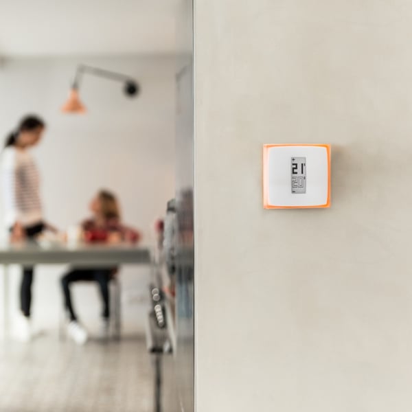 Netatmo Thermostat termostat RF Gennemsigtig, Hvid