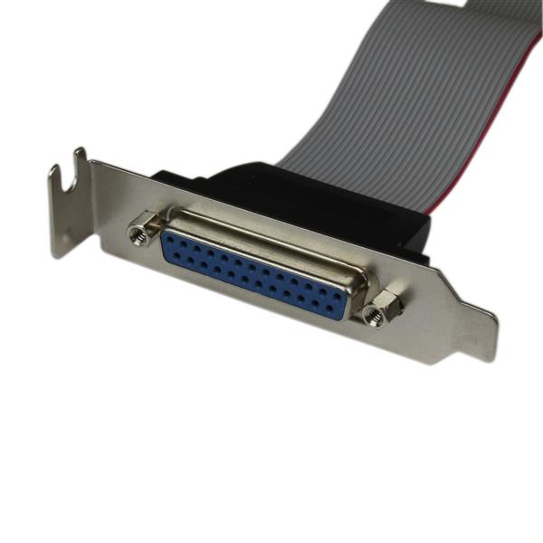StarTech.com DB25 (F) - IDC26 DB-25 25 pin D-Sub IDC 26 pin Motherboard Header Grå