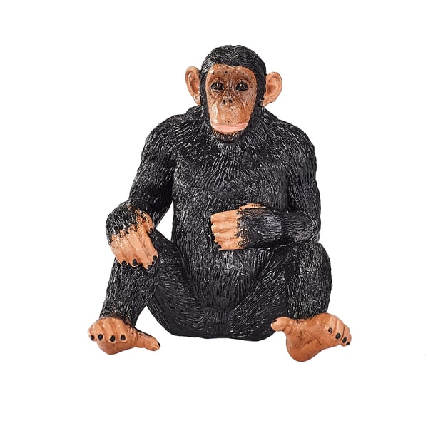 Mojo Fun Chimpanzee