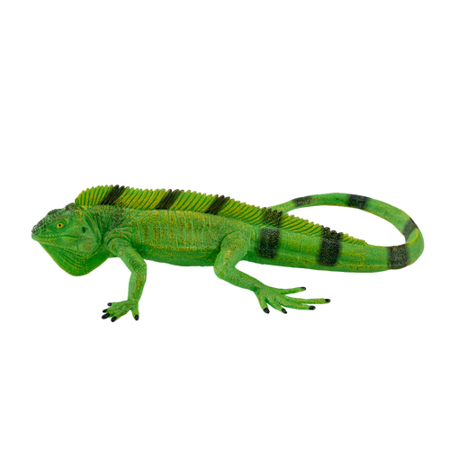 Mojo Fun Iguana