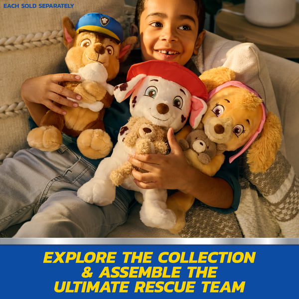 PAW Patrol GPW 9Hin Birthday Chase GML