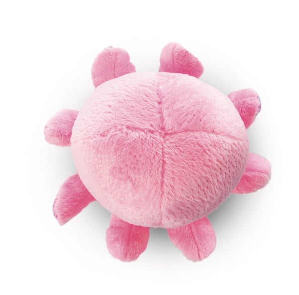 NICI Glubschis
