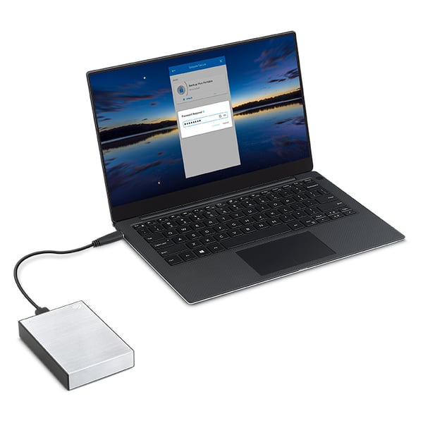 Seagate One Touch STKZ4000401 externa hårddiskar 4 TB 3.5" USB Type-C 3.2 Gen 1 (3.1 Gen 1) Svart, Silver