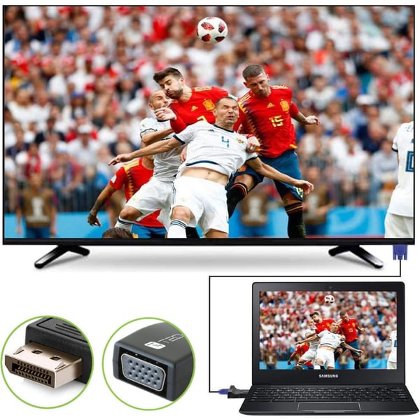 Techly IADAP DSP-230T kabel kønsskifter DisplayPort VGA Sort