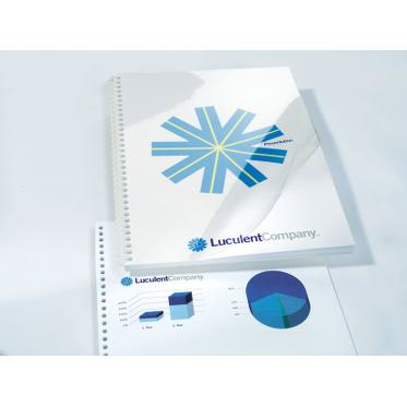 GBC 41600E omslagssidor A4 PVC Transparent 50 styck GBC 41600E omslagssidor A4 PVC Transparent 50 styck