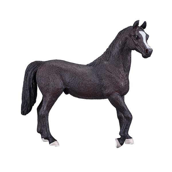 Mojo Fun Arabian Stallion Black