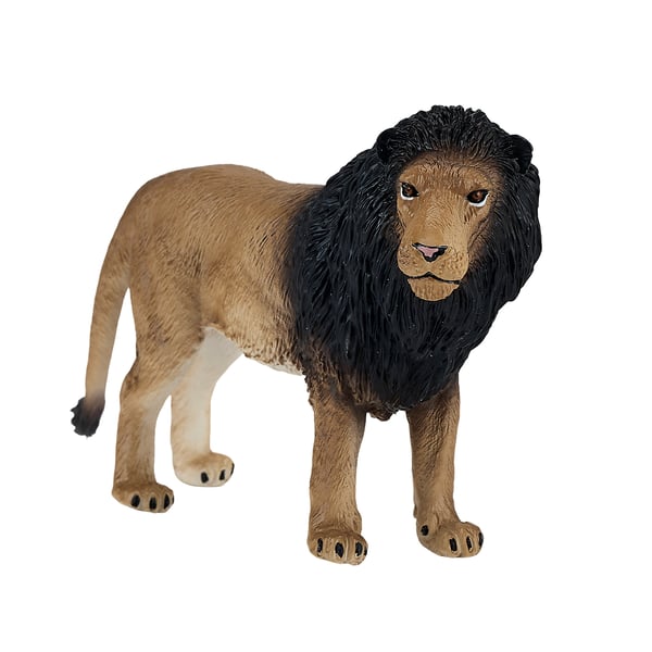 Mojo Fun Lion