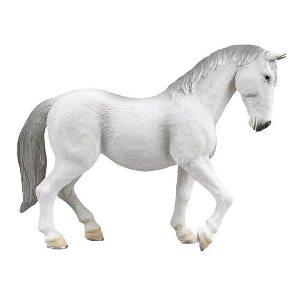 Mojo Fun Lipizzaner Mare