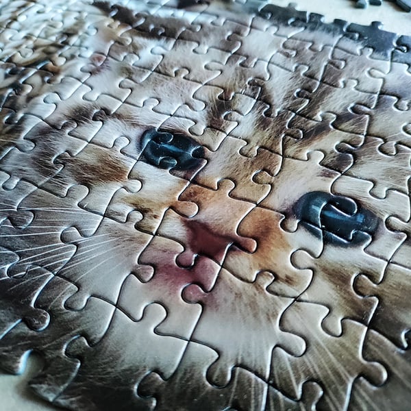 Tactic Cute Kittens 1000 pcs Puslespil 1000 stk Dyr
