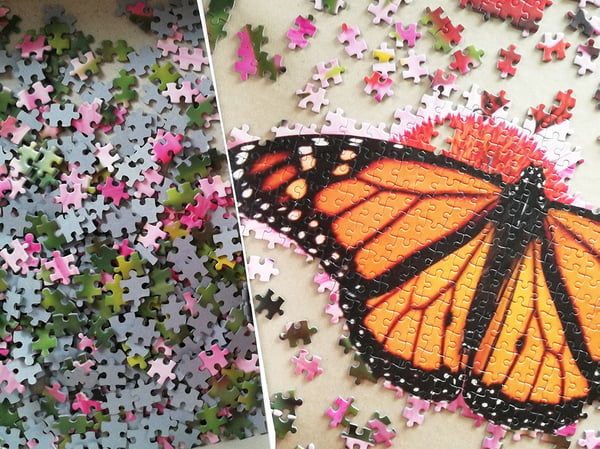 Tactic Monarch Butterfly 1000 pcs Kuviopalapeli 1000 kpl Eläimet