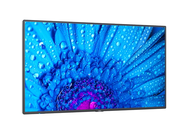 NEC MultiSync M491 Platt skärm för digital skyltning 124,5 cm (49") IPS 500 cd/m² 4K Ultra HD Svart 24/7