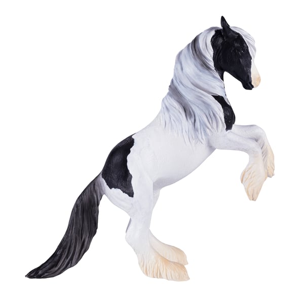 Mojo Fun Irish Cob Stallion