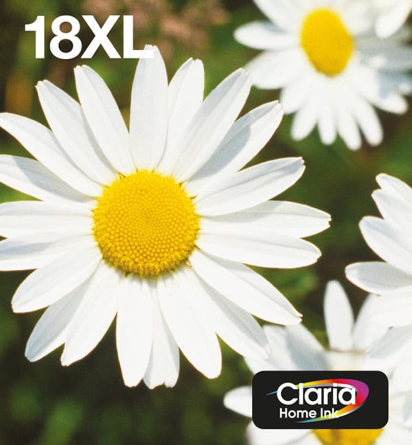 Epson Daisy 18XL Päivänkakkara Claria Home, moniväripakkaus, 4 väriä, EasyMail