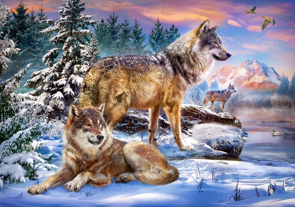 Castorland Wolfish Wonderland Puslespil 500 stk Dyr