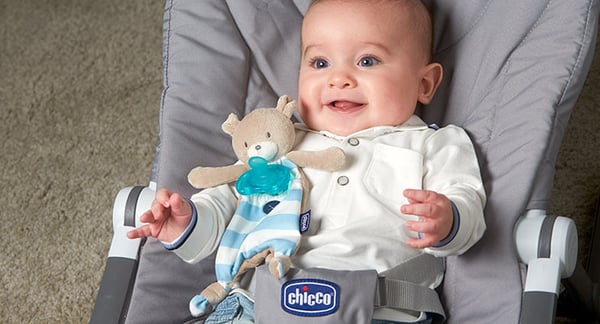 Chicco Pocket Friend