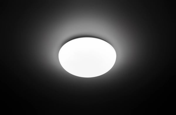 Philips Funktionel Shan loftslampe, 12 W