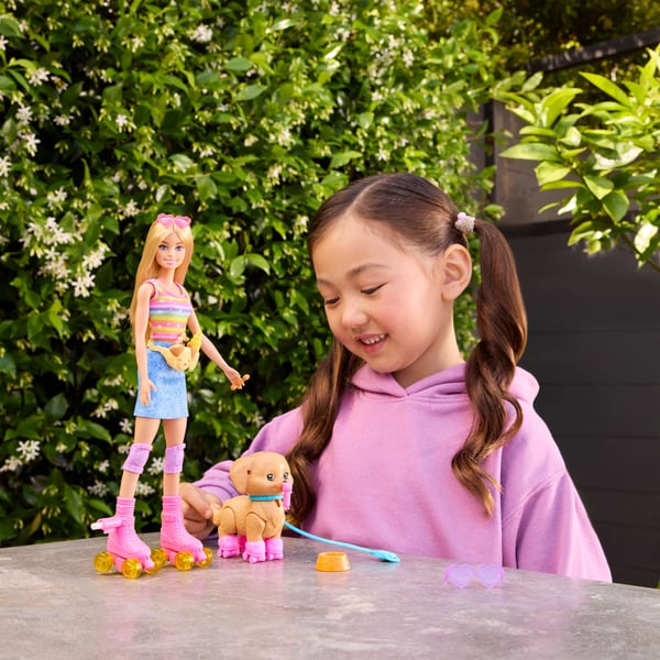 Barbie Skate and Run Pup Doll and Accessories