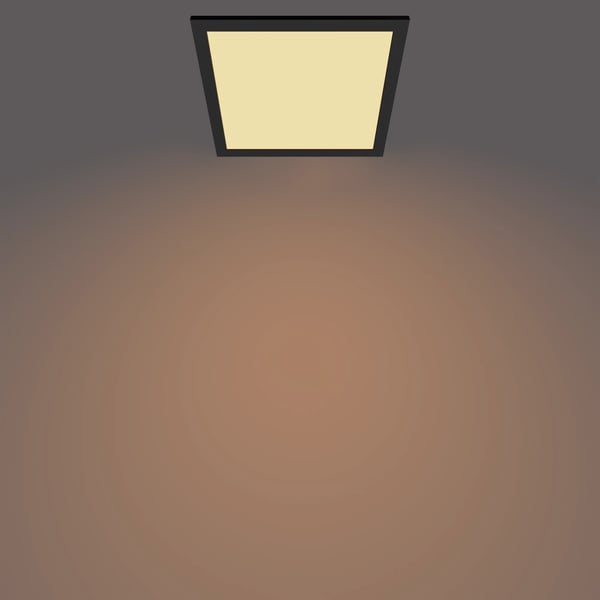 Philips Funktionel Panel loft, loftslampe, 12 W, firkant
